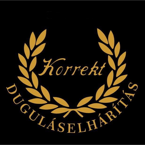 Korrekt Duguláselhárítás